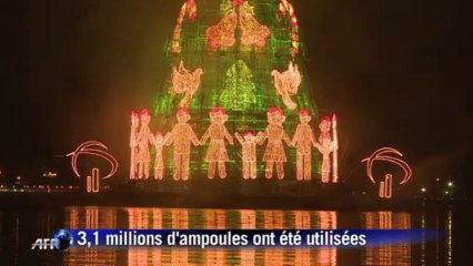 Brésil: Rio inaugure son arbre de Noël flottant