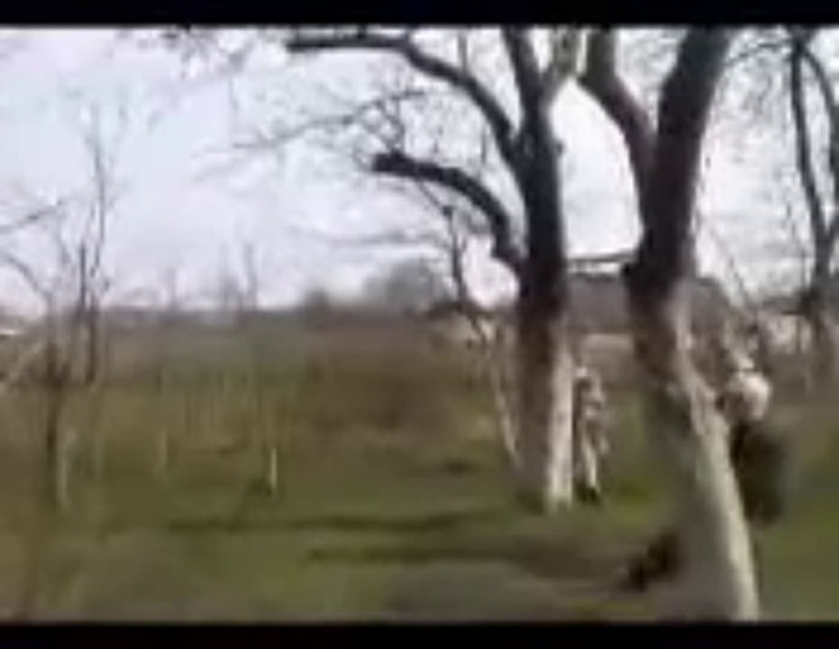 Vainius Krenta