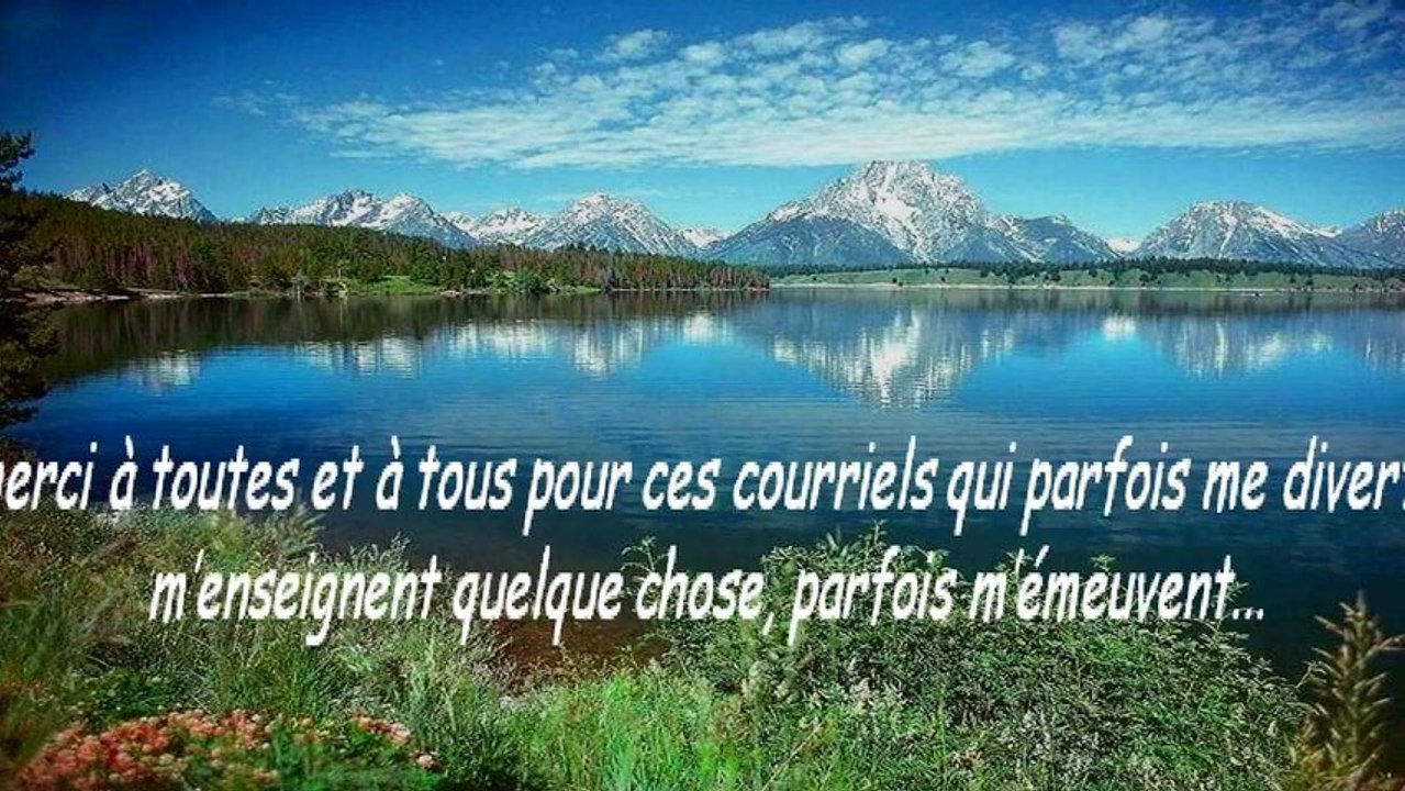 Magnifique 2 (PP720)