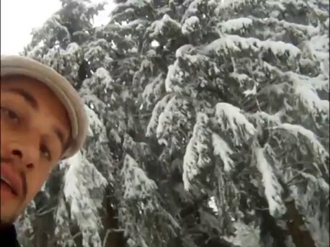 Prémol - chiens - sortie neige skate