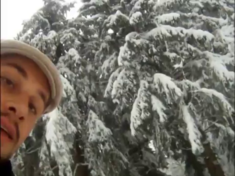 Prémol - chiens - sortie neige skate