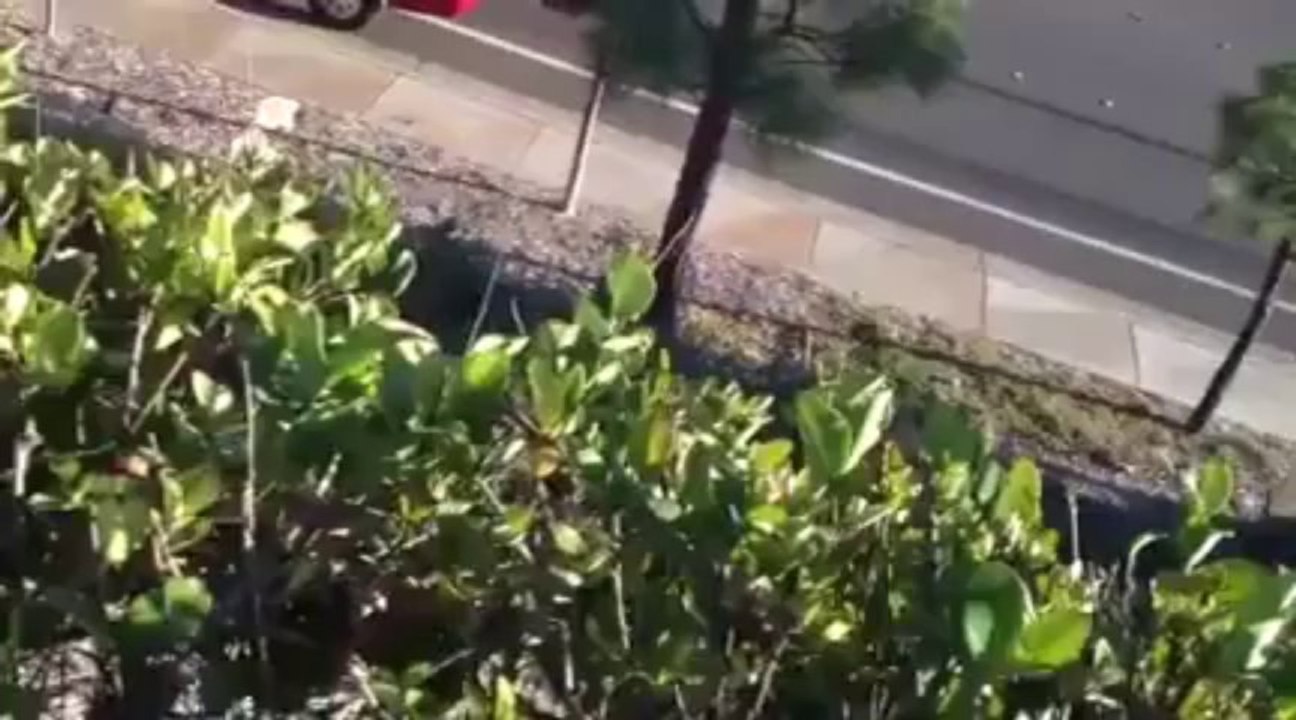 Paul Walker Dies In Car Crash Raw Footage Original