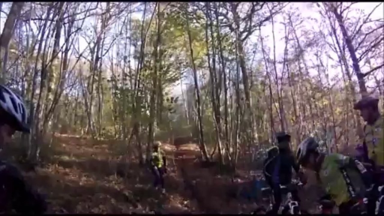 rando foret sy