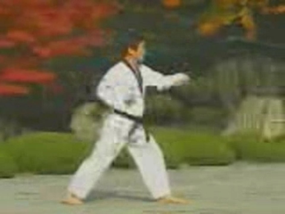 taegeug sam jang - Poomse TKD