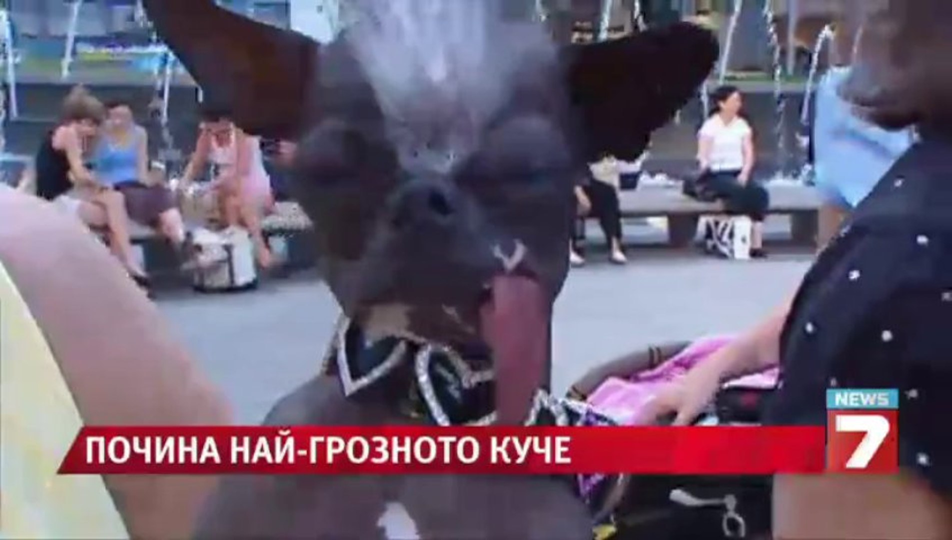 ⁣Отиде си най-грозното куче в света