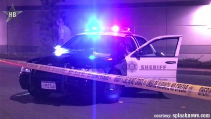 Paul Walker's Accident Video