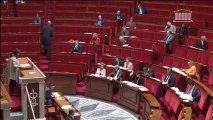 Prostitution - Intervention en discussion générale sur la proposition de loi renforçant la lutte contre le système prostitutionnel - le 29/11/2013