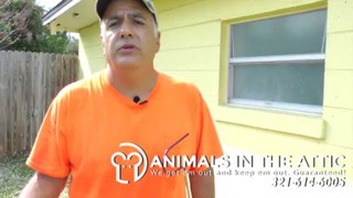 Get Rid of Rats in Abandoned Home they Can Get in Your Home - Animals in the Attic Brevard 321-614-6005 Melbourne FL