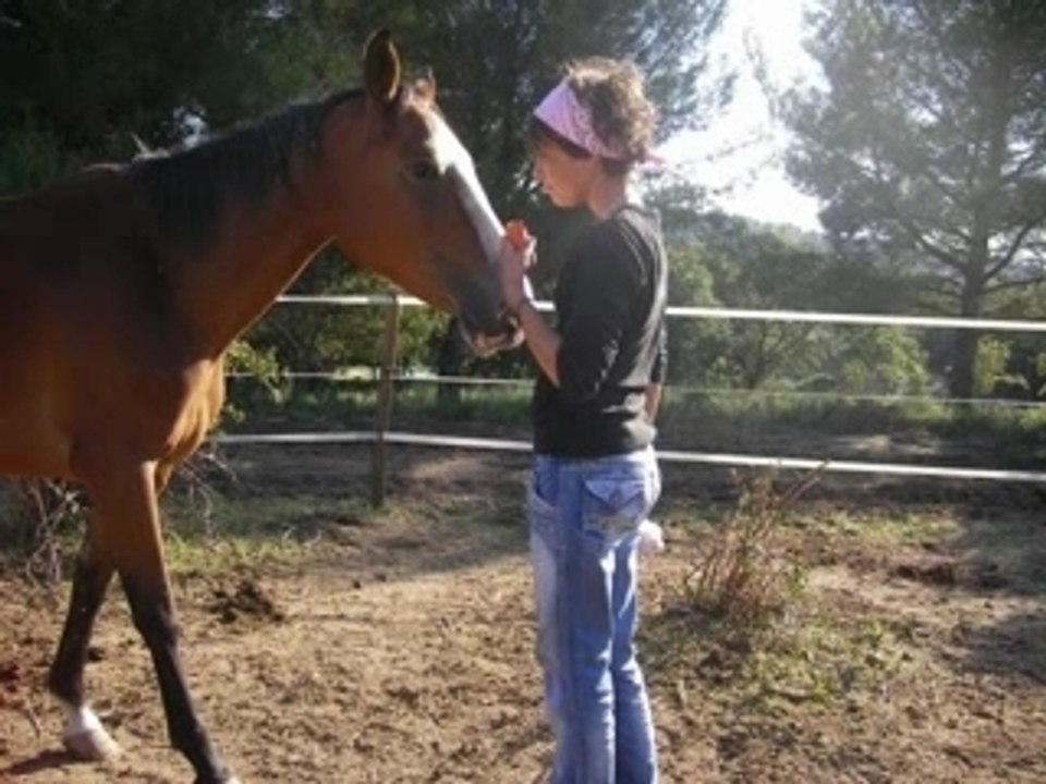 Les cirbonettes et leur dada