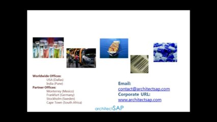 SAP Project Management-Risk, Task and Responsibilities