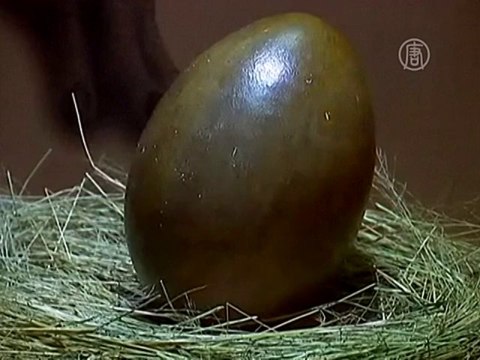 Выставка динозавров: в прошлое на 500 млн лет