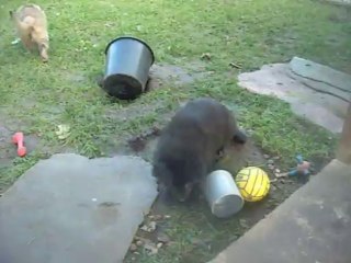 2 décembre 2013 : repas