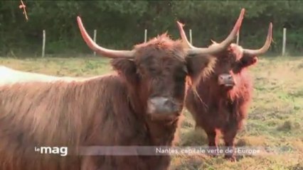 Nantes, capitale verte européenne