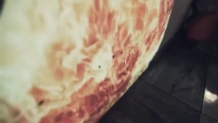 Nuits 4.0 Polars - Speed of Light