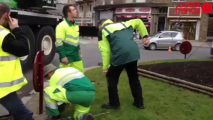 Installation du grand sapin