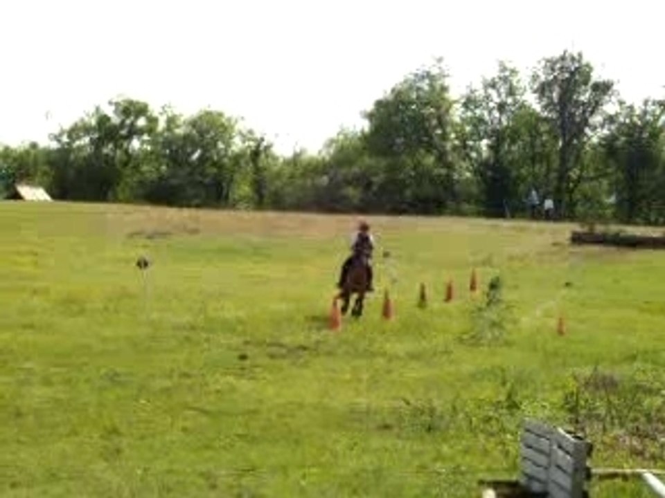 Slalom Gol