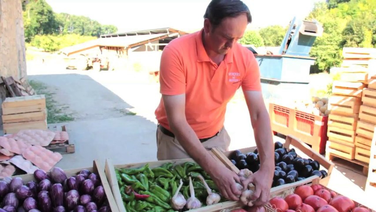 Producteurs du Pays d'Albret - Domaine Briteste