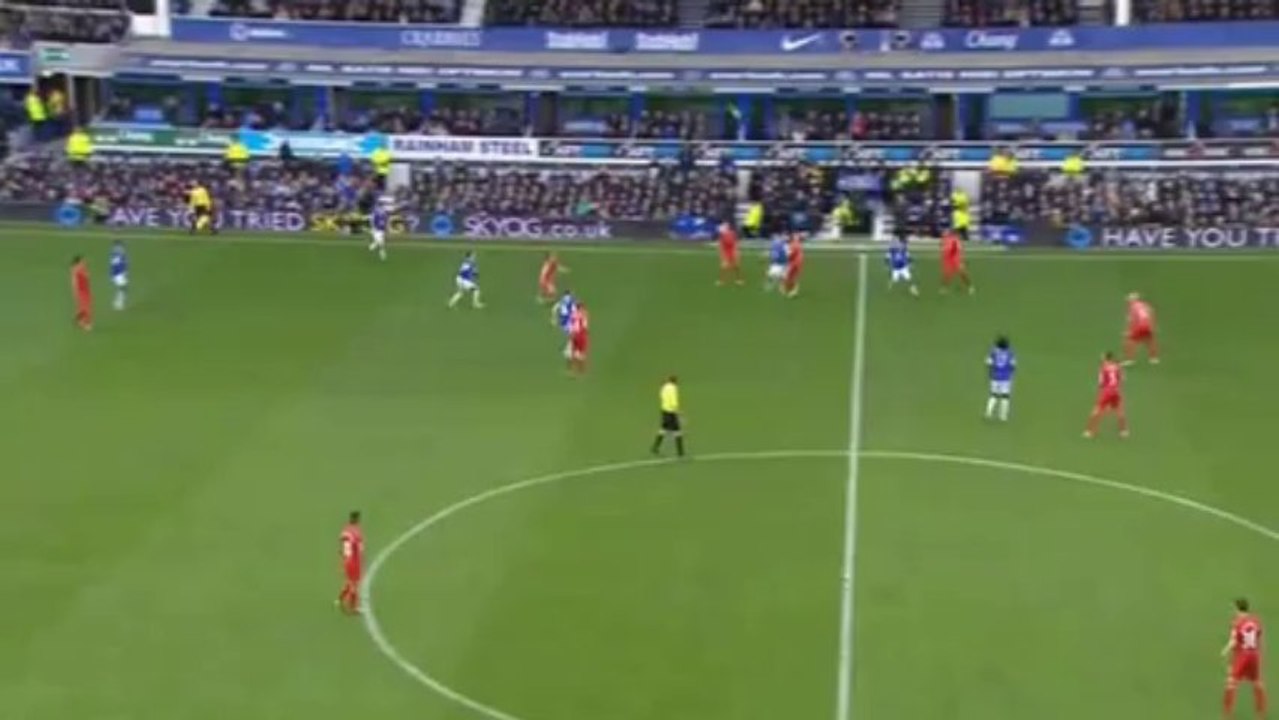 James McCarthy vs Liverpool