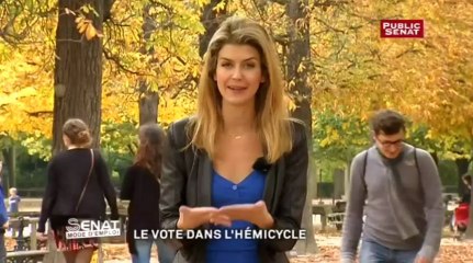 Le vote - Sénat, mode d'emploi