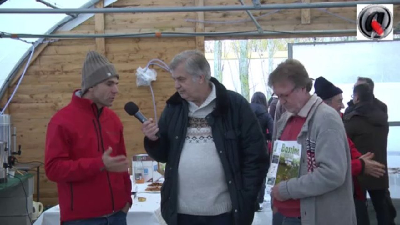 Les etangs d occitanie le bilan de la sélection koi 2013