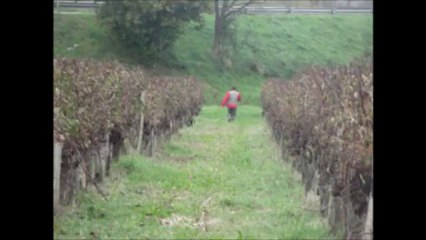 I'VONE PETIT BLEU DE GASCOGNE