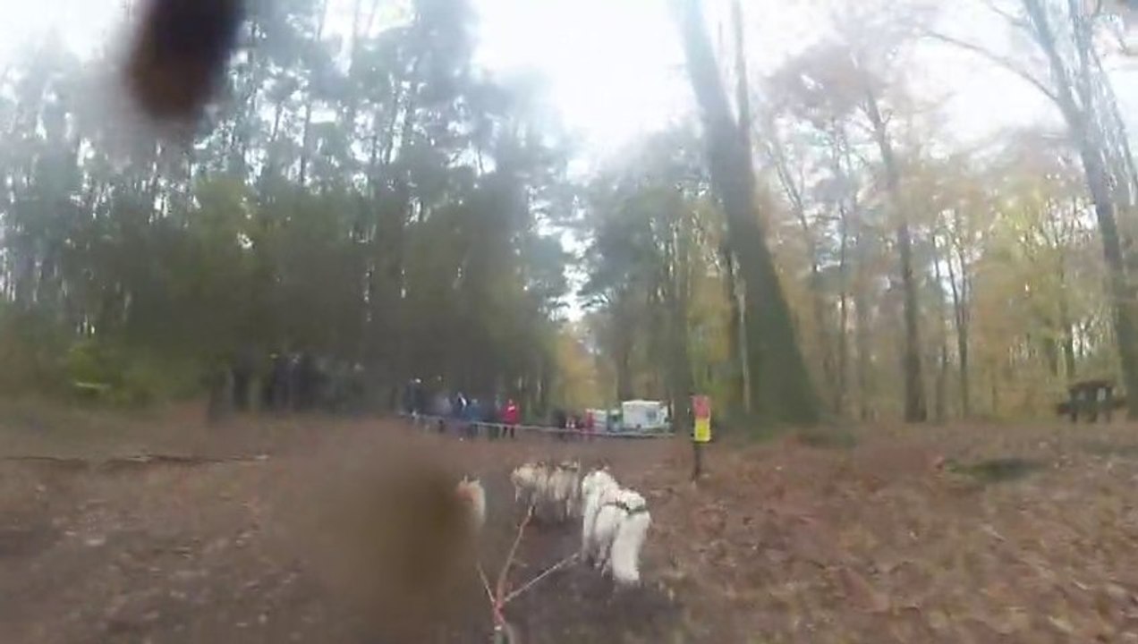 montage beloeil 2 yt