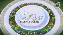 Islamic knowledge 238 -  Ghusal ka Bayan - Maulana Ilyas Qadri