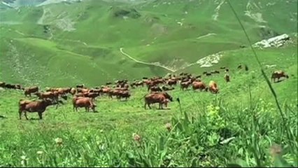 La charte Parc National de la Vanoise : Emmanuel Michau