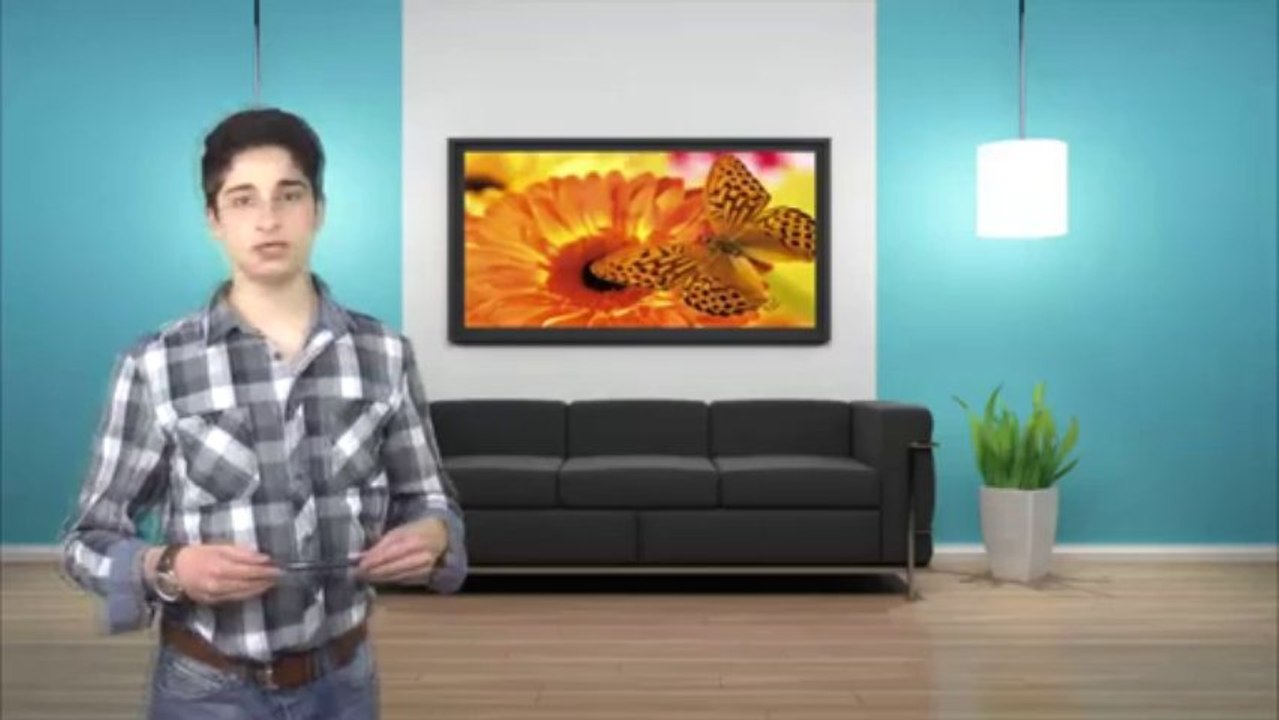 Das Wunder der Schmetterlinge