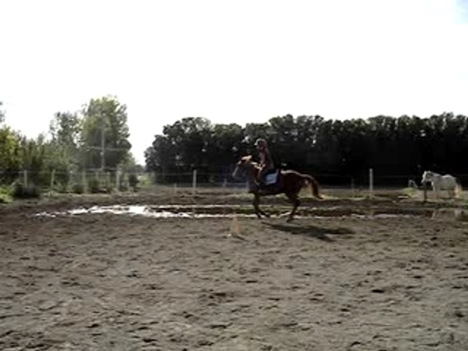 MOV00628