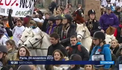 Une centaine de camions de chevaux contre "l'équitaxe"