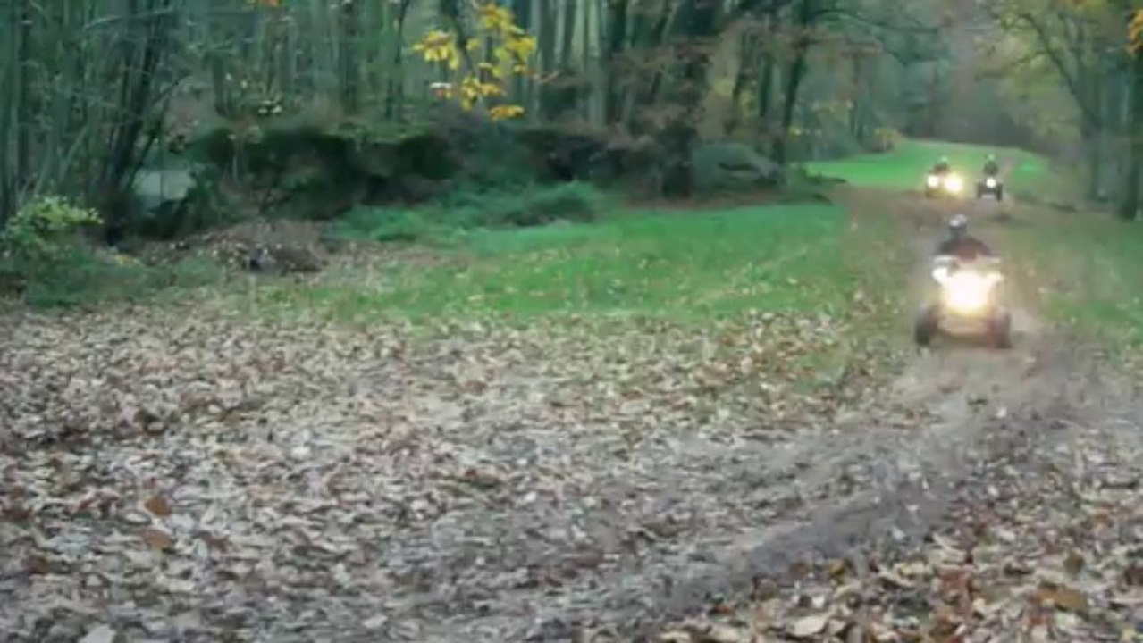 rando 30 funquadaventure91