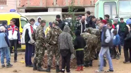 Plantation des arbres à la ville de Sidi Ali le Samedi 30 Novembre 2013