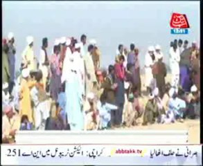 bull fighting in rajanpur