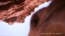 Eagle steals camera and film his flight. Awesome...