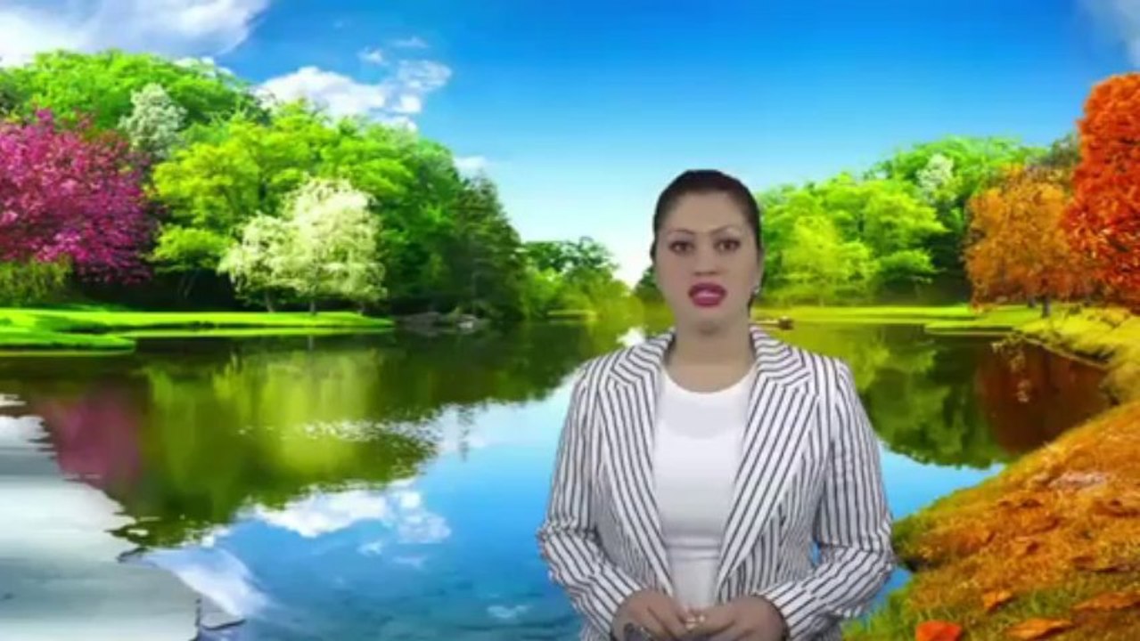 Die besondere jagdmethode der Vögel