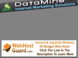 Miller Beach Indiana DataMine Internet Marketing Solutions Website Design and Web Hosting