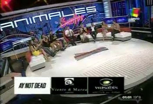 Pedro en Animales Sueltos 3 - 02 de Diciembre