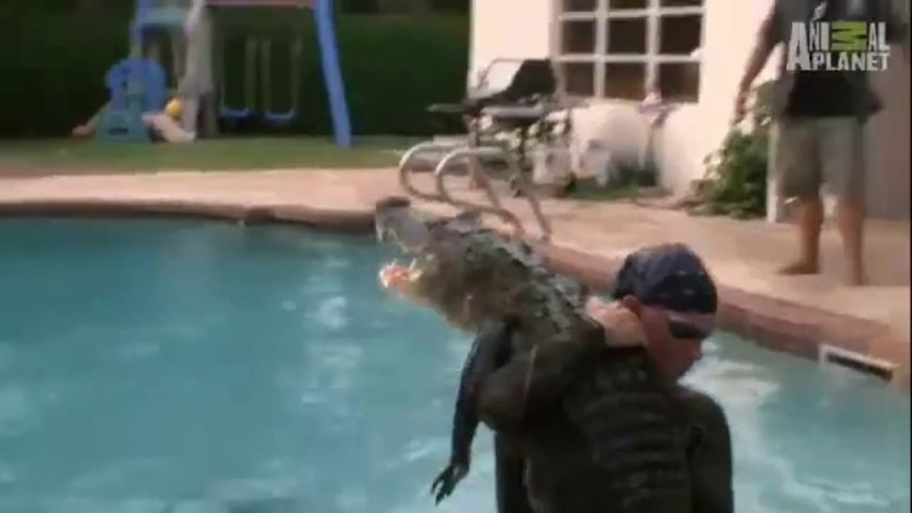 Boys Playing With Aligator