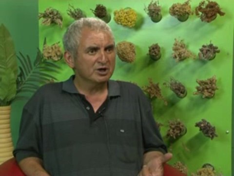 Koah,Bronşit,Varis ve Kilo Problemi Vardı