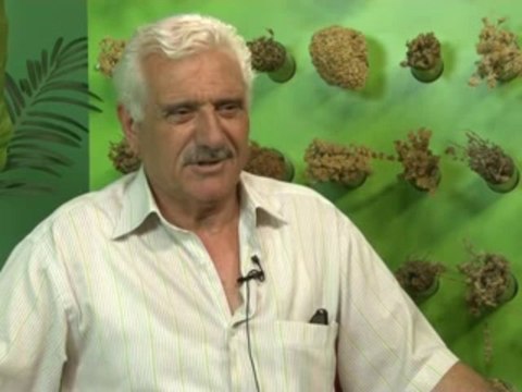 Oğlu Alerjik Bronşit