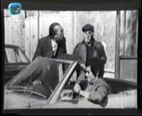 Mamal Amricai 01_clip0