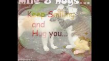 Hugs and Smile Cards/Ecards/Greetings Card/Wishes