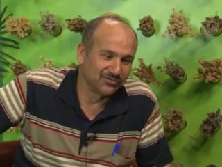 Baş Ağrısı ve Uyku Problemi