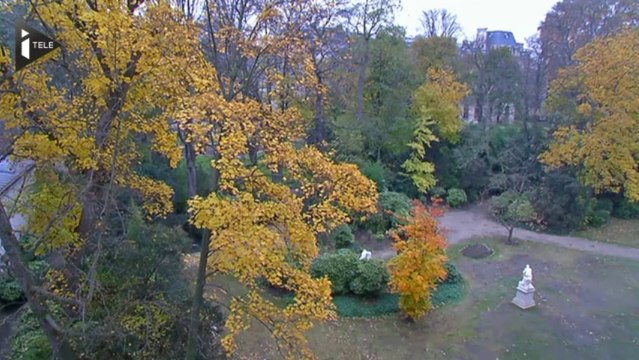 Matignon met ses vins aux enchères