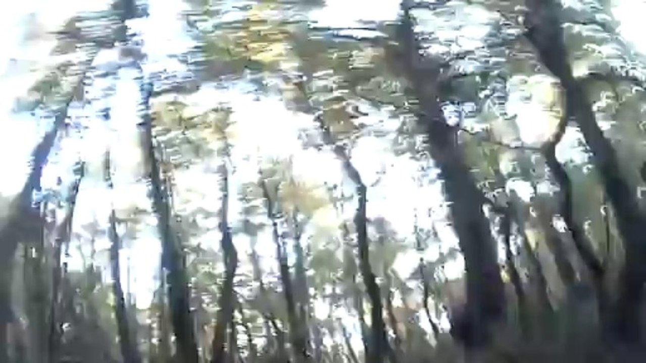 VIDE0011