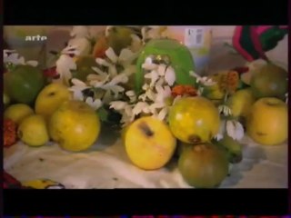 La migration du papillon monarque