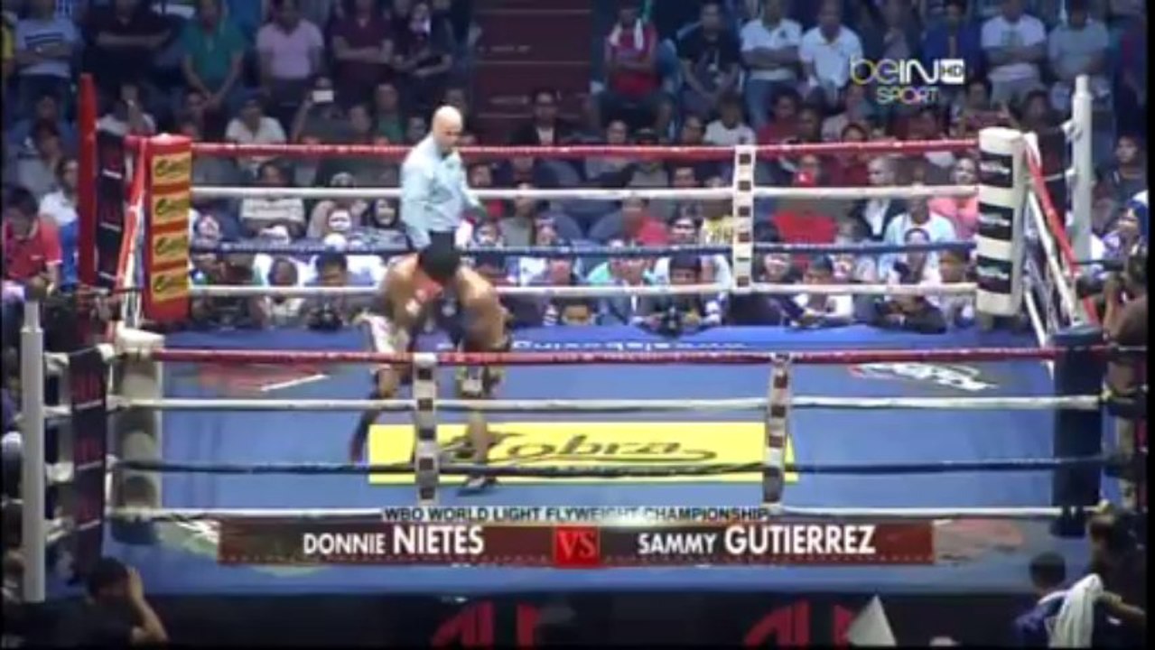 Donnie Nietes vs Sammy Gutierrez 2013-11-30