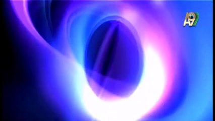 Fotoğraflarla doğa günlüğü: Mavi kazlar