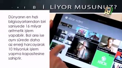 Dünyanın en hızlı bilgisayarıyla yarışan bal arısı!